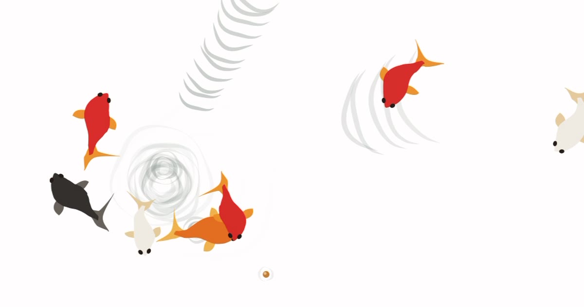 Goldfish gathering around food in a pale pond